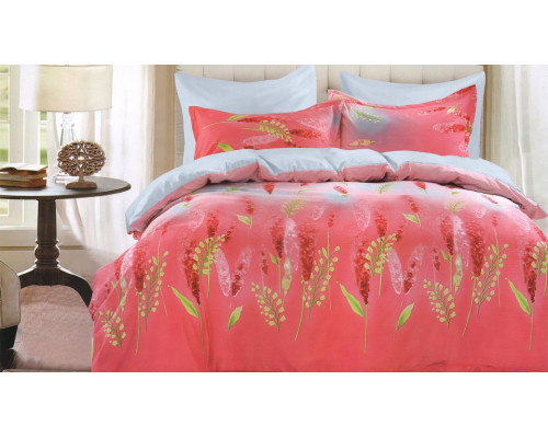 Постельное белье евростандарт Ombre Jeanice