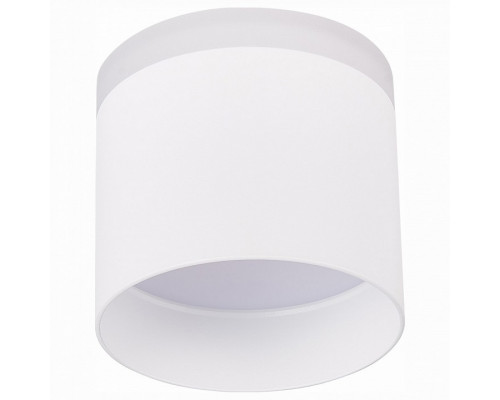 Накладной светильник ST-Luce Panaggio