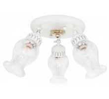 Спот Citilux Метафора 