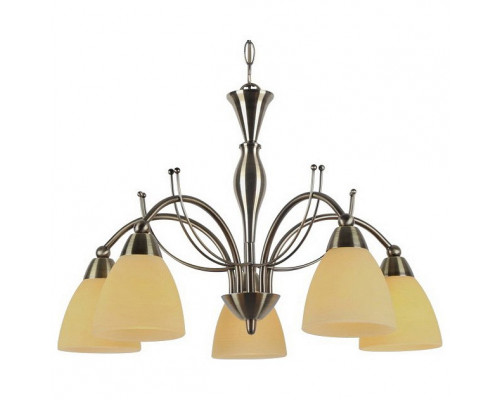 Подвесная люстра Arte Lamp Panna A8612LM-5AB