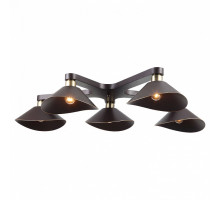 Потолочная люстра Lussole Opelika 