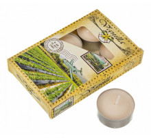 Набор из 6 свечей ароматических (4x2 см) Ваниль 348-490