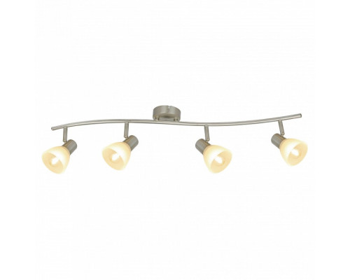 Спот Arte Lamp Parry A5062PL-4SS