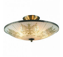 Светильник на штанге TopLight Stella TL7300X-05AB