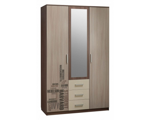 Шкаф платяной Колледж MKK-008