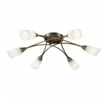 Накладной светильник Freya Alice FR5021CL-06BZ