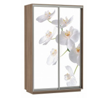 Шкаф-купе Экспресс Фото Дуо Орхидея 1400x600x2200