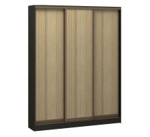 Шкаф-купе Адриано-3 1800x400x2500 мм