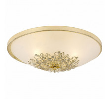 Накладной светильник Arte Lamp Collinetta A9116PL-2GO