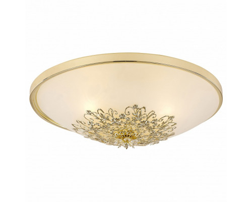 Накладной светильник Arte Lamp Collinetta A9116PL-2GO