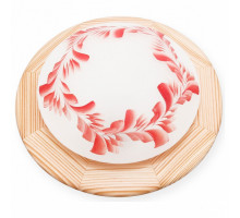 Накладной светильник TopLight Arialda TL9501Y-01PN