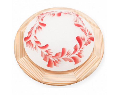 Накладной светильник TopLight Arialda TL9501Y-01PN