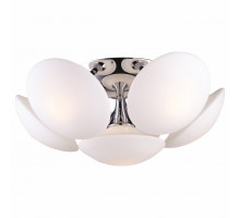 Потолочная люстра Arte Lamp Soffione A2550PL-6CC