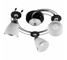 Спот TopLight Sara TL2730X-03BC