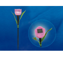 Наземный низкий светильник Uniel Tulip USL-C-451/PT305 PINK TULIP