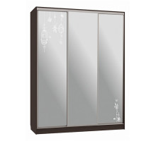 Шкаф-купе Бассо 4-600 птицы