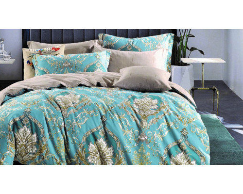 Постельное белье евростандарт C-303