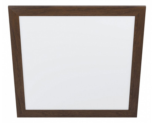 Накладной светильник Eglo ПРОМО Piglionasso 99475