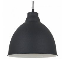 Подвесной светильник Arte Lamp Casato A2055SP-1BK