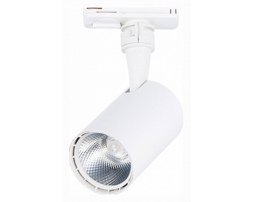 Светильник на штанге ST-Luce Cami