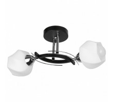 Светильник на штанге TopLight Lia TL7380X-02BC