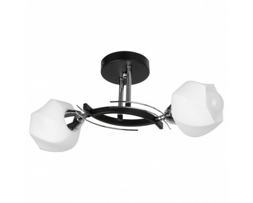 Светильник на штанге TopLight Lia TL7380X-02BC