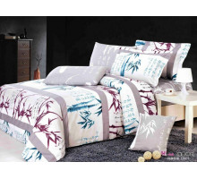 Постельное белье евростандарт C-119