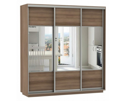 Шкаф-купе Экспресс Комби Трио 1800x600x2400