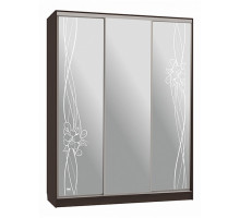 Шкаф-купе Бассо 4-600 волны 2