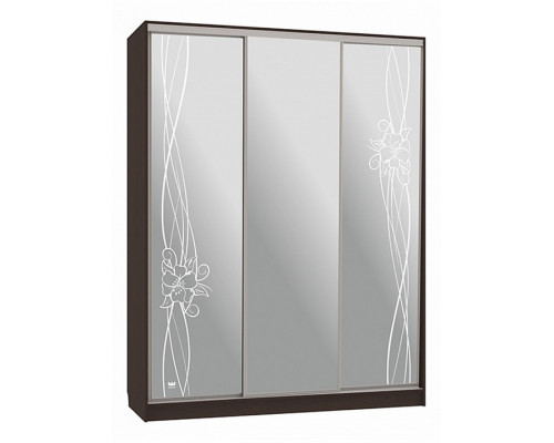 Шкаф-купе Бассо 4-600 волны 2