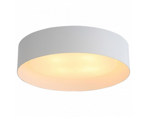 Накладной светильник ST-Luce Chio