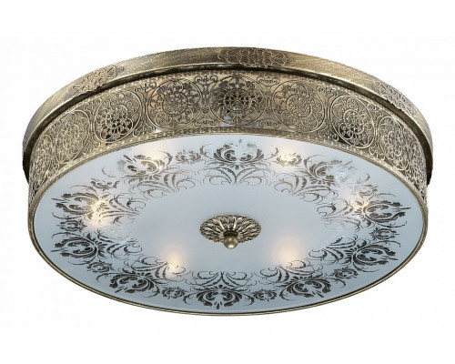 Накладной светильник Odeon Light Aster 2782/6C