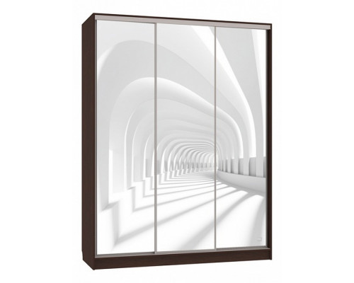 Шкаф-купе Бассо 7-600 58