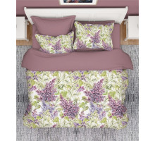 Постельное белье евростандарт Вальтери RS