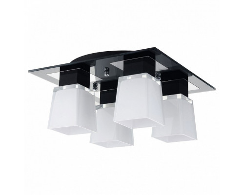 Накладной светильник Lussole Lente