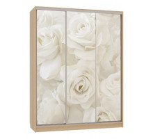 Шкаф-купе Бассо 7-600 розы