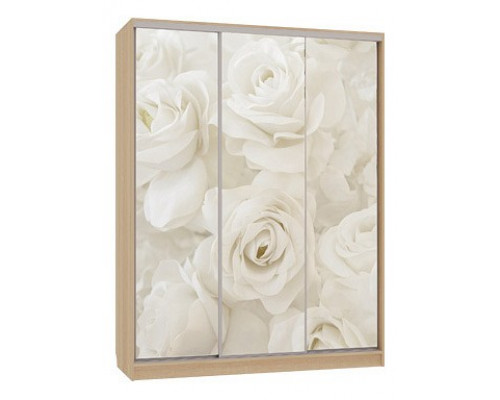 Шкаф-купе Бассо 7-600 розы
