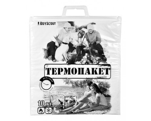 Термосумка (42х45 см) Boyscout 61435