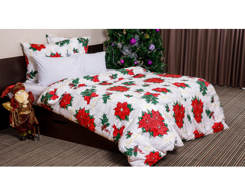 Постельное белье семейное Рождественская звезда