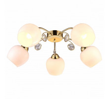 Потолочная люстра Arte Lamp Millo A9549PL-5GO