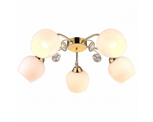 Потолочная люстра Arte Lamp Millo A9549PL-5GO