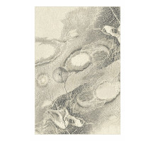 Ковер интерьерный (200x300 см) Isfahan