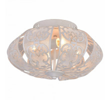 Накладной светильник Arte Lamp 5116 A5116PL-4WG