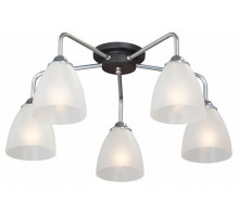 Потолочная люстра Vitaluce  V4952-9/5PL