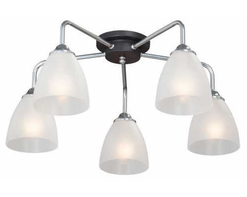 Потолочная люстра Vitaluce  V4952-9/5PL