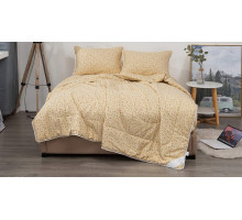 Постельное белье евростандарт Дарси