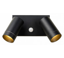 Светильник на штанге Lucide Taylor 09831/02/30