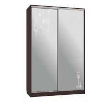 Шкаф-купе Гранд 4-600 птицы