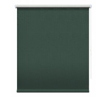 Штора рулонная (72x175 см) Сильвер