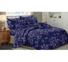 Постельное белье евростандарт Art Color 081-AC